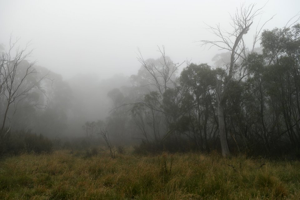 Square Rock Walking Track, Namadgi National Park 24
