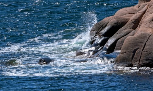Stångehuvud red granite cliffs 10
