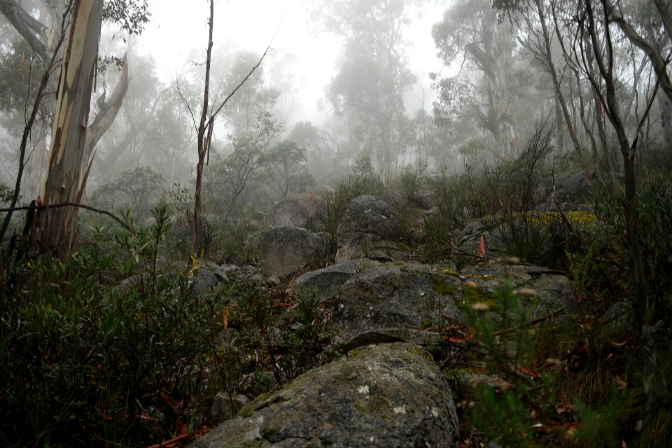Square Rock Walking Track, Namadgi National Park 18