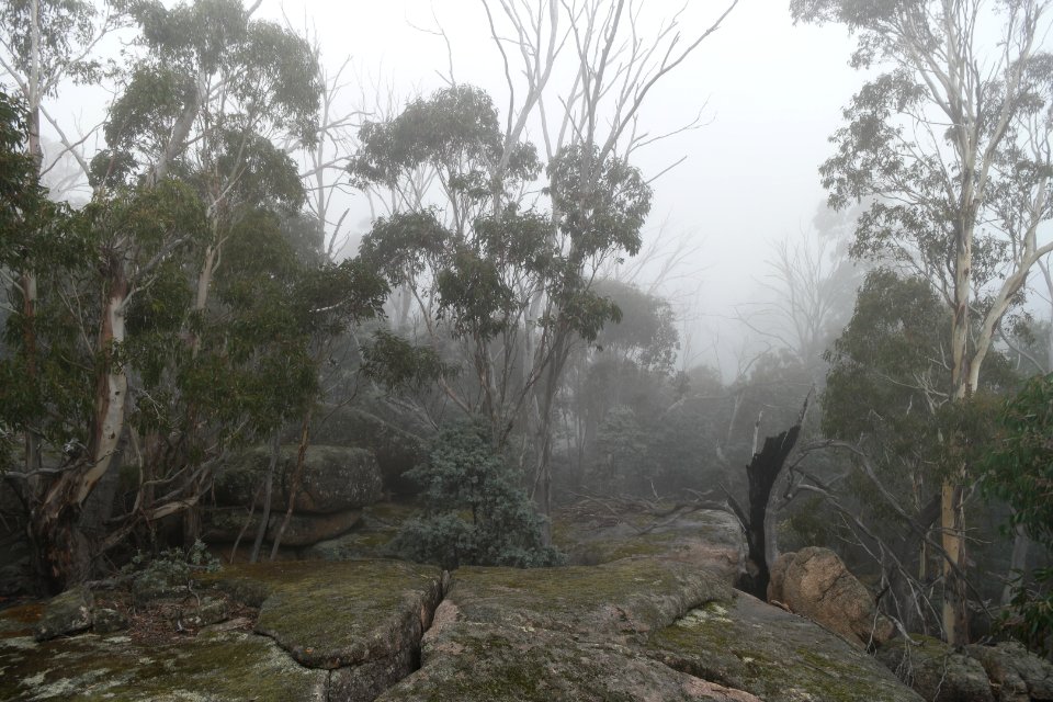 Square Rock Walking Track, Namadgi National Park 66