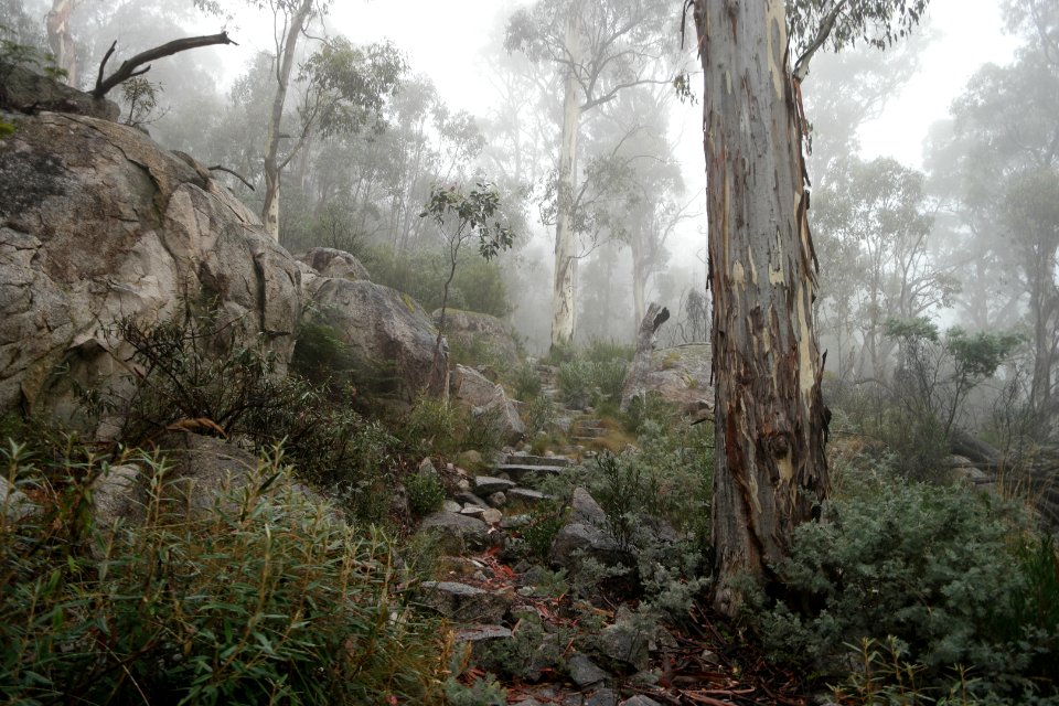 Square Rock Walking Track, Namadgi National Park 19