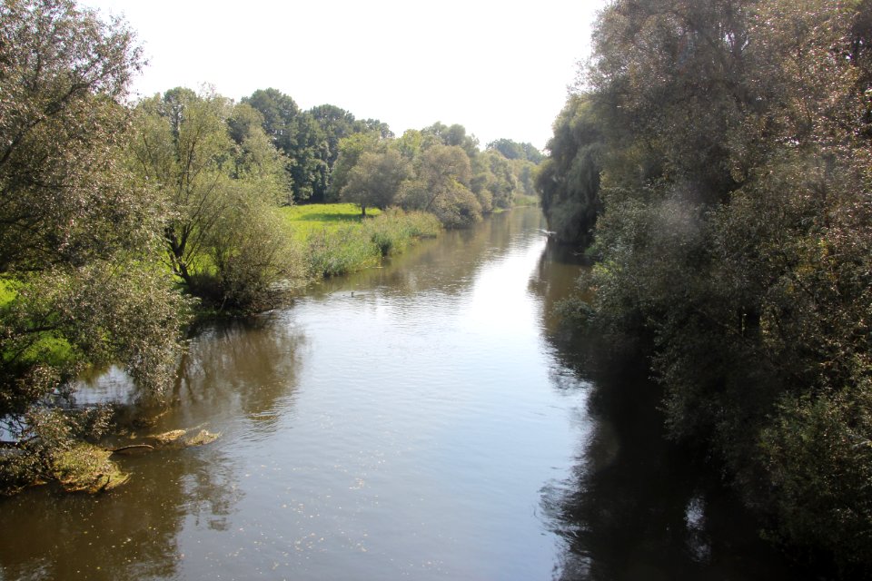 Spree in Kossenblatt