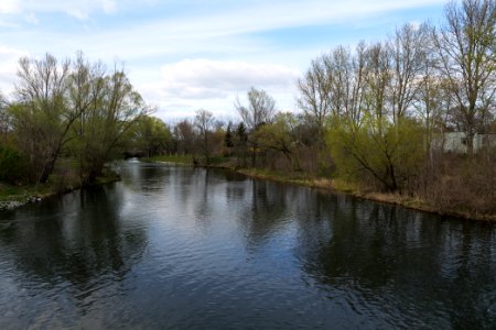 Spree in Spreeaue Cottbus-Nord 2021-04-24 09