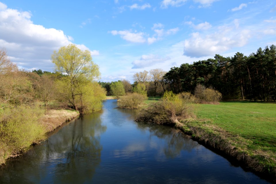 Spree in Biotopverbund Spreeaue 2021-04-24 18