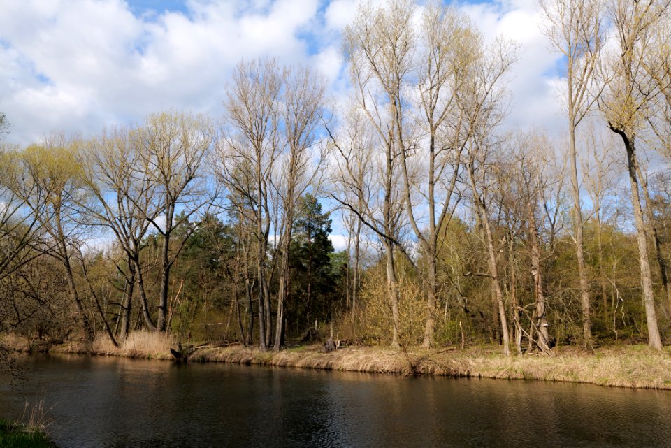 Spree in Biotopverbund Spreeaue 2021-04-24 13