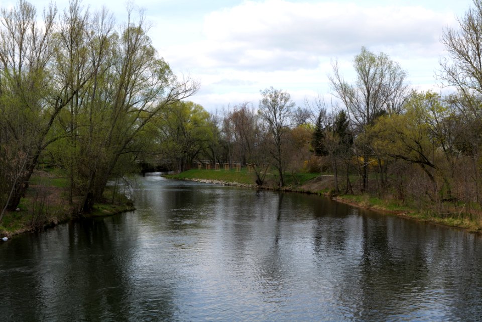 Spree in Spreeaue Cottbus-Nord 2021-04-24 11