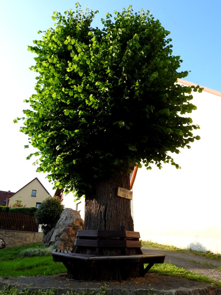 Stübnitz 03