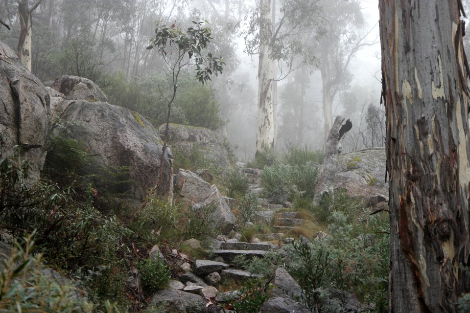 Square Rock Walking Track, Namadgi National Park 20