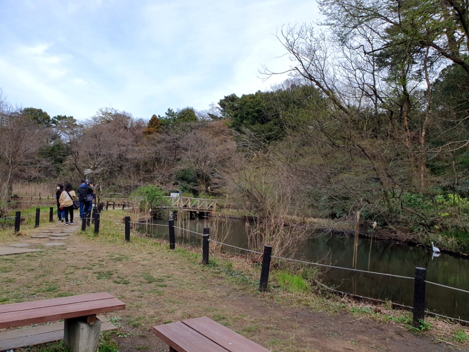 Spring at Institute for Nature Study