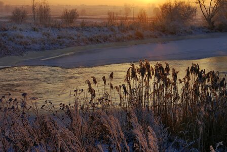 Winter holidays water frost