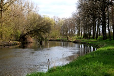 Spree in Biotopverbund Spreeaue 2021-04-24 17