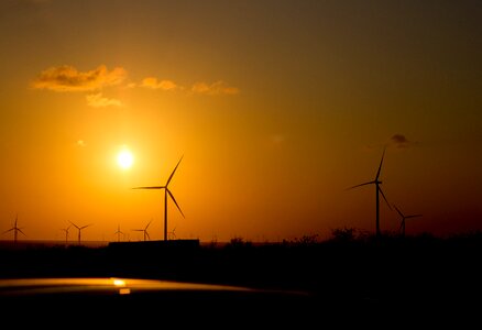 Wind turbine environmental photo