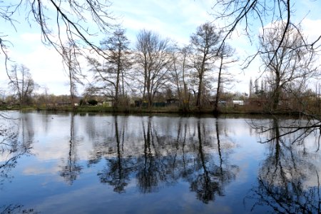 Spree in Spreeaue Cottbus-Nord 2021-04-24 07