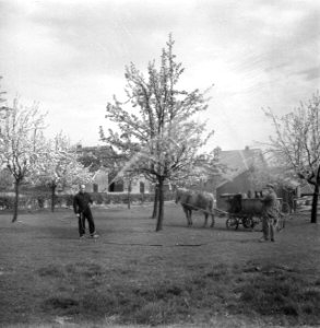 Spuitwagen in de boomgaard, Bestanddeelnr 252-1971