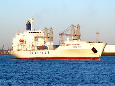 Spring Panda Port of Rotterdam 15-Jul-2006