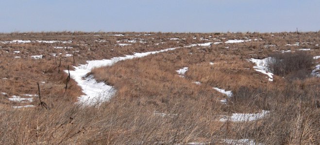 Spring Creek Prairie wagon ruts from W 2