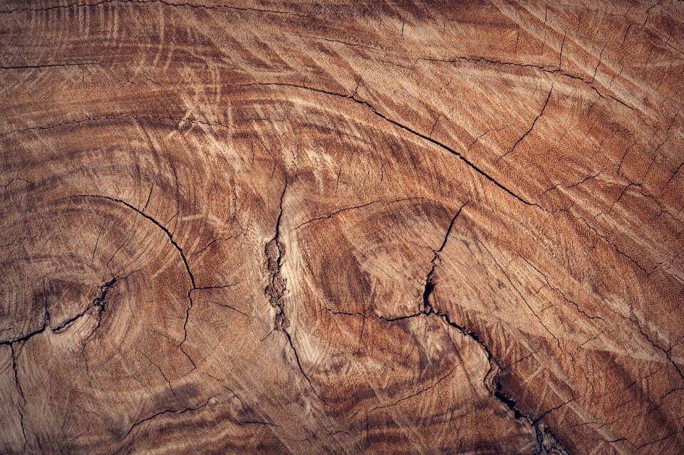 Close-up surface texture