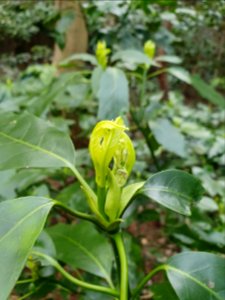 Spring at Institute for Nature Study 6