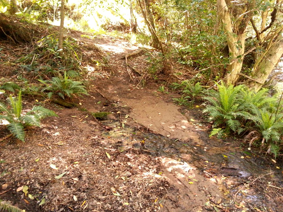 Spring at the Yadboro River crossing on the Kaliana Ridge Track near Long Gully Campground 004