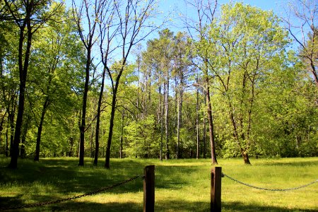 Spring Bank, Bartow County, GA April 2019