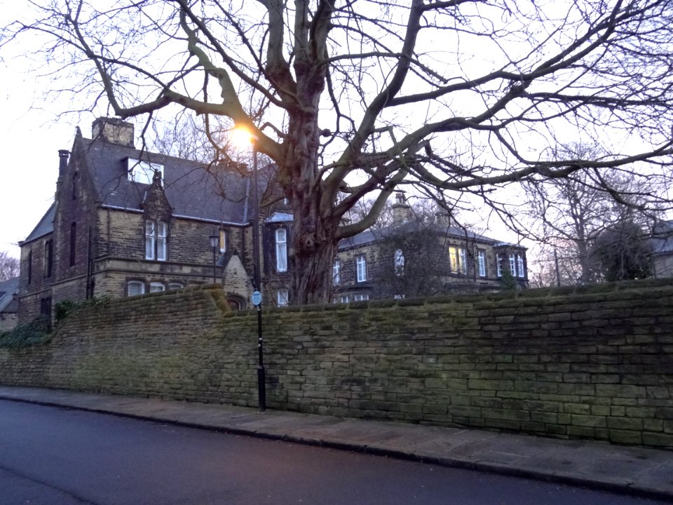 Spring Hill and Elmfield, Leeds