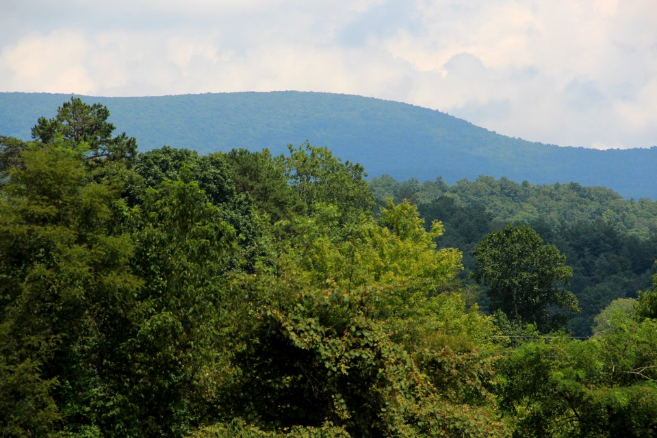 Springer Mountain viewed from the west