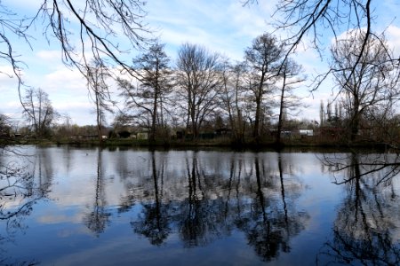 Spree in Spreeaue Cottbus-Nord 2021-04-24 06