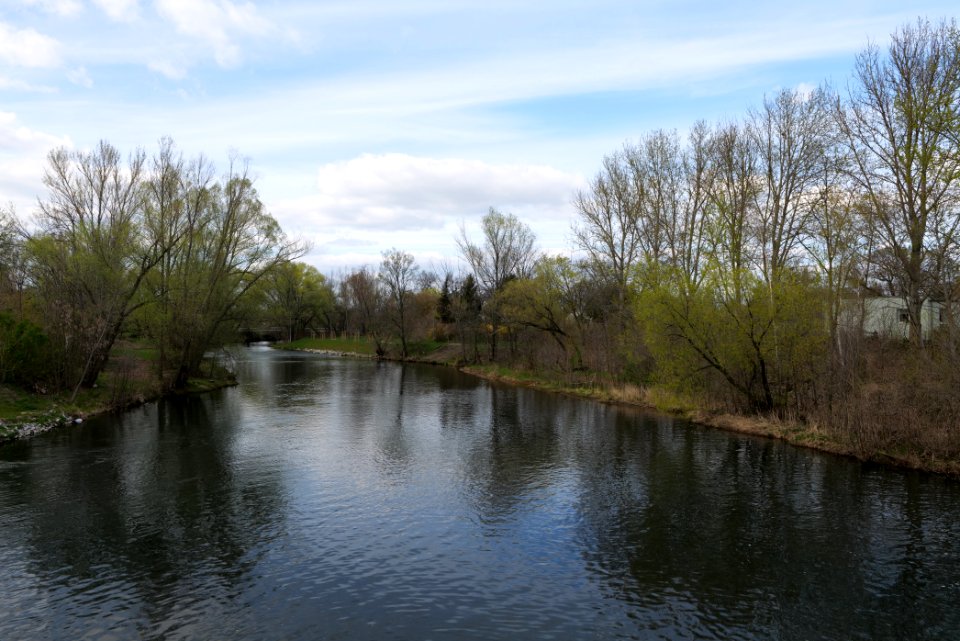 Spree in Spreeaue Cottbus-Nord 2021-04-24 10