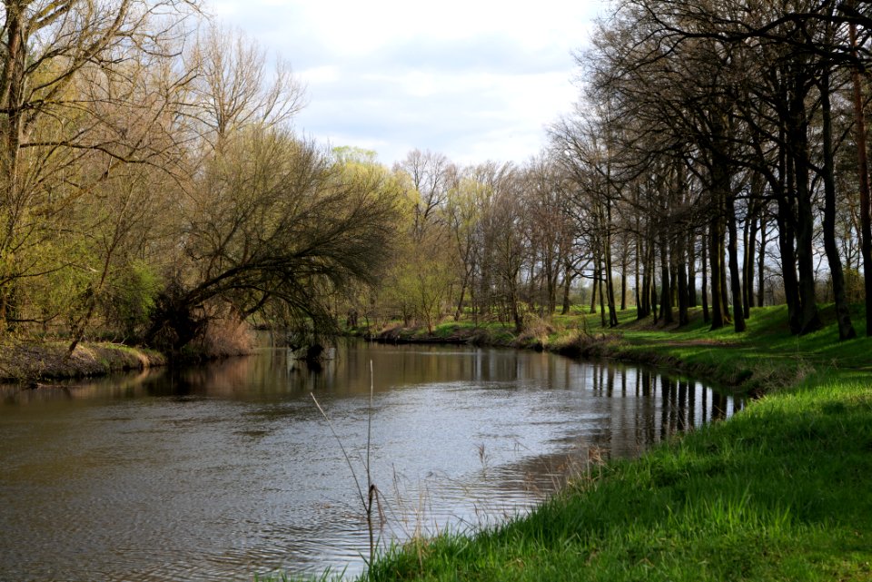 Spree in Biotopverbund Spreeaue 2021-04-24 16