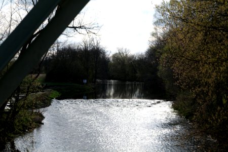 Spree in Biotopverbund Spreeaue 2021-04-24 05
