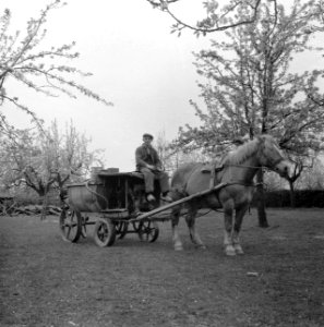 Spuitwagen in de boomgaard, Bestanddeelnr 252-1968
