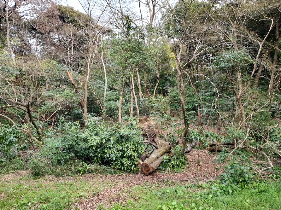Spring at Institute for Nature Study 7