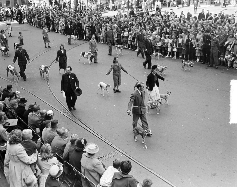 Sportweek, honden, Bestanddeelnr 903-4617