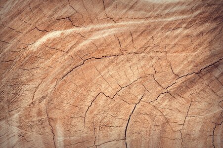 Background board brown