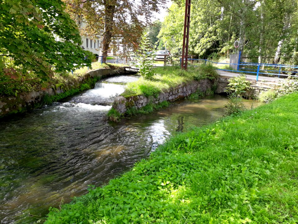 Spring von Plaue 4