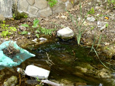 Spring of Ryabinin brook