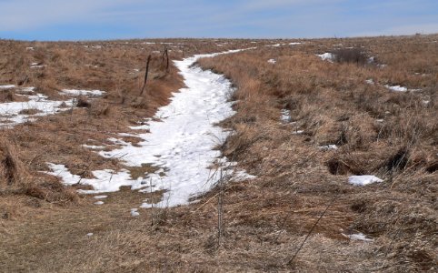Spring Creek Prairie wagon ruts from W 3