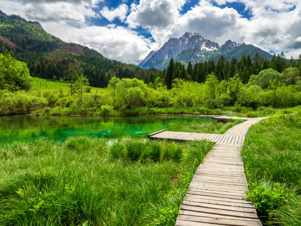 Lake nature landscape