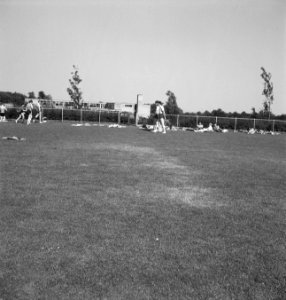Sportvelden, mensen, Bestanddeelnr 253-4870