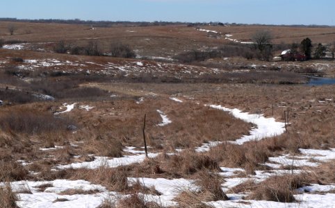 Spring Creek Prairie wagon ruts from E 2