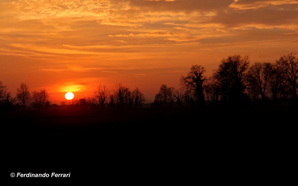 Spring Sunset (204787133) photo