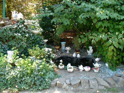 Spring with chinas in Semikarakorsk