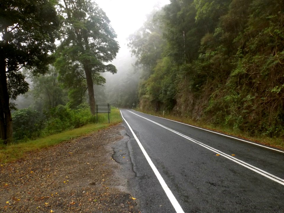 Springbrook Road at Springbrook, Queensland