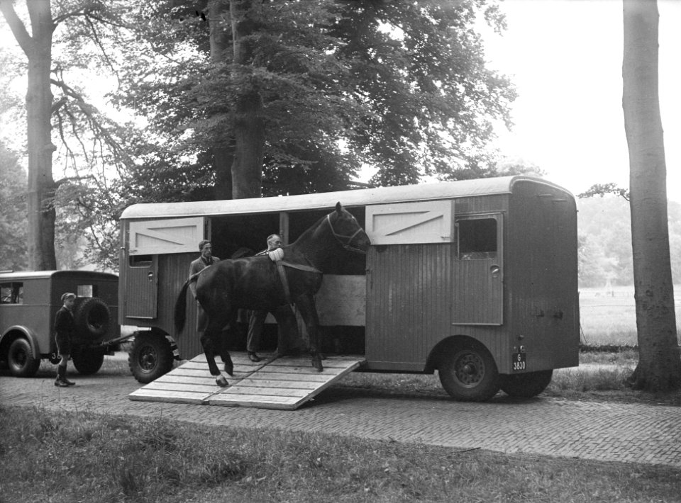 Springconcours te Bussum. De jongste deelnemer stelt zich voor De nieuwe paard, Bestanddeelnr 902-2164