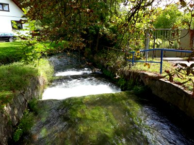 Spring von Plaue 3