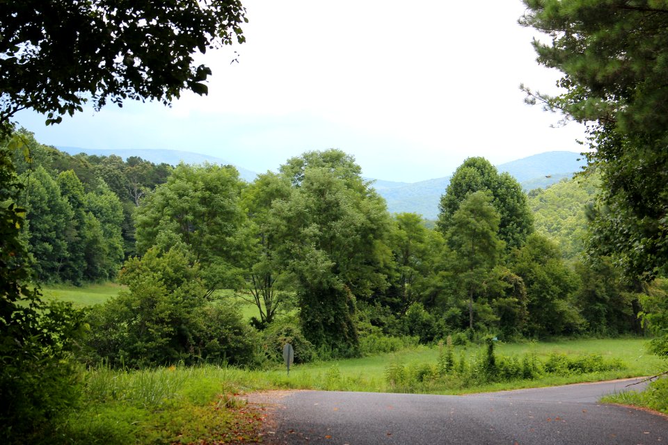 Springer Mountain and Black Mountain, Georgia
