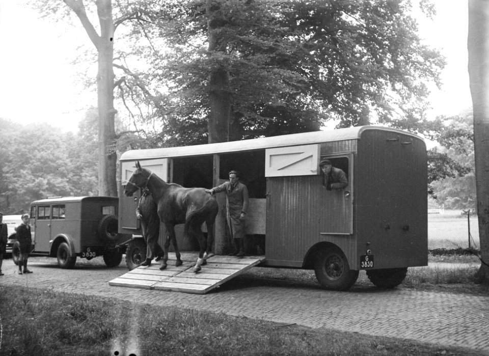 Springconcours te Bussum. De jongste deelnemer stelt zich voor De nieuwe paarden, Bestanddeelnr 902-2163