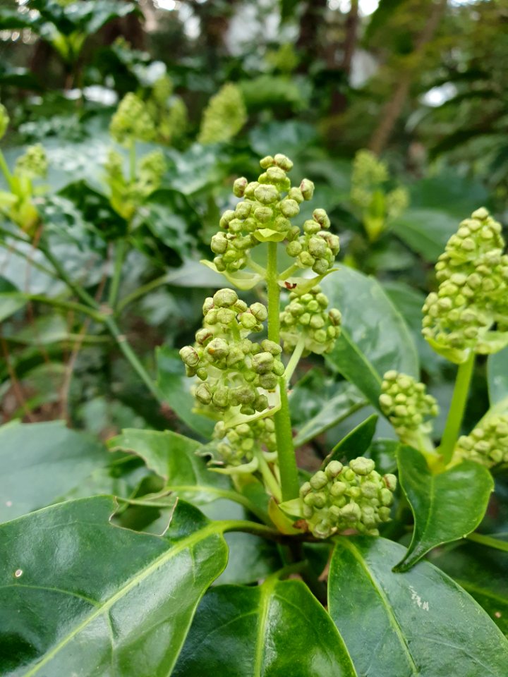 Spring at Institute for Nature Study 5