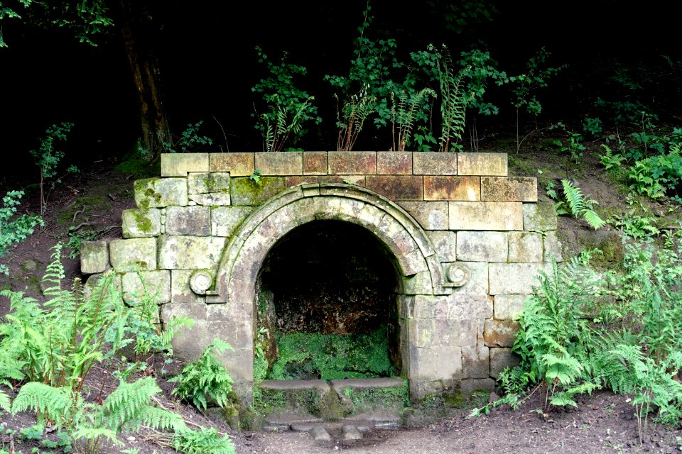 Spring - Fountains Abbey - North Yorkshire, England - DSC00988