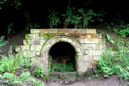Spring - Fountains Abbey - North Yorkshire, England - DSC00988